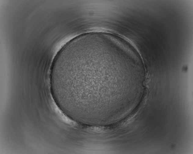 X0000115640995200911241706