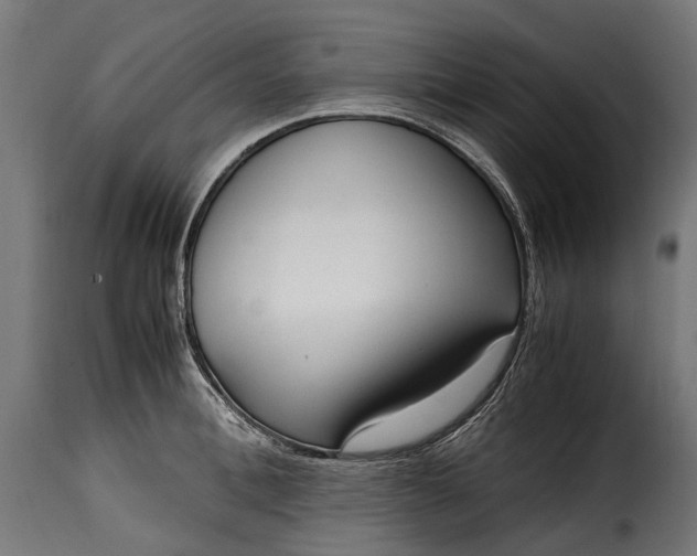 X0000115640996200911241706