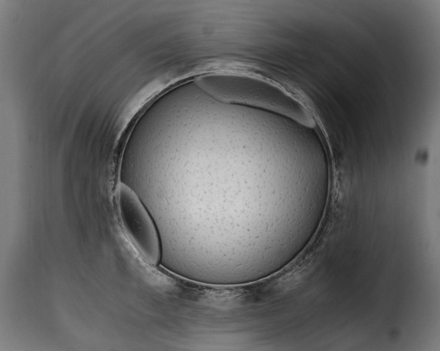 X0000115640997200911241706