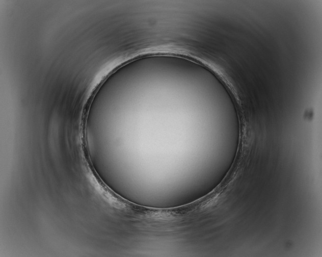 X0000115640998200911241706