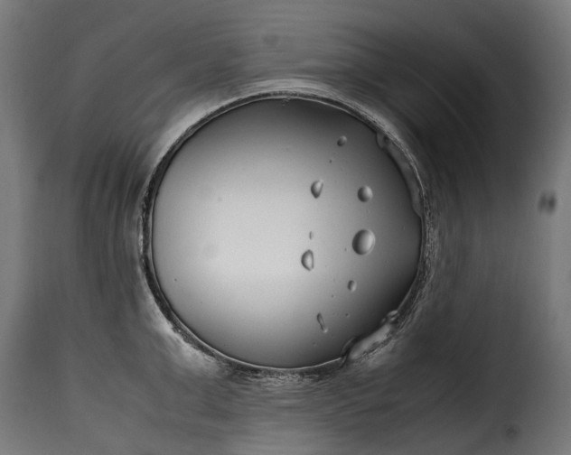 X0000115640999200911241706