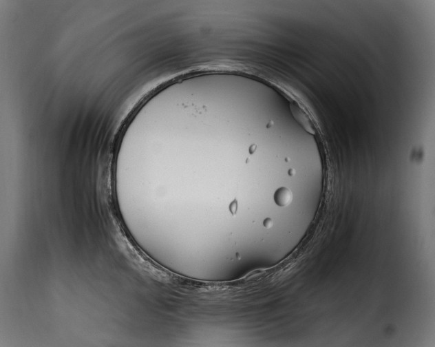 X0000115641000200911241706