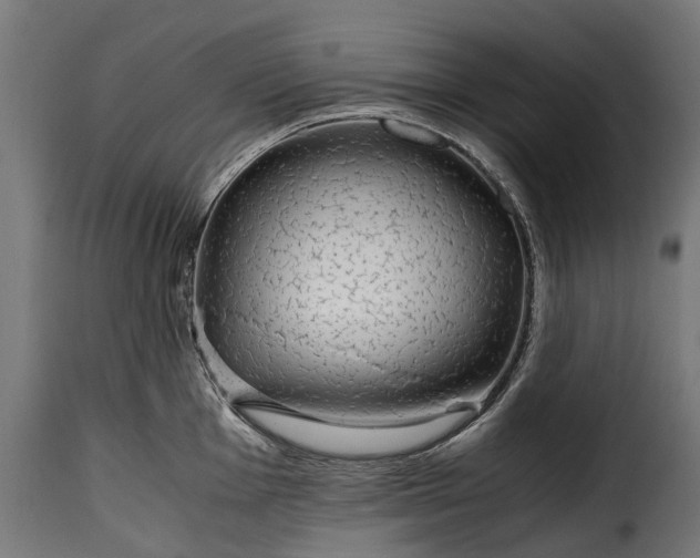 X0000115641001200911241706