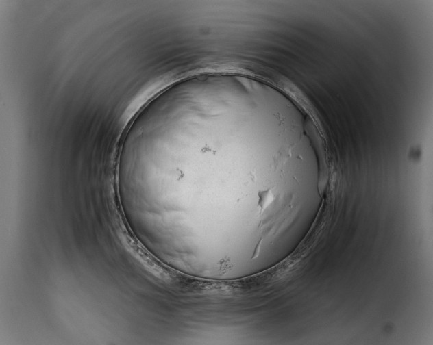 X0000115641002200911241706