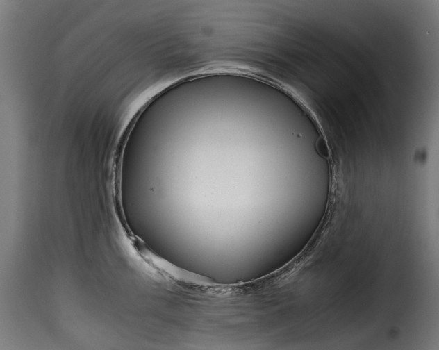 X0000115641003200911241706