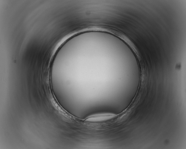 X0000115641004200911241706