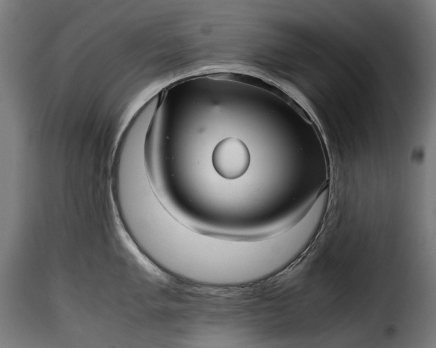 X0000115641005200911241706