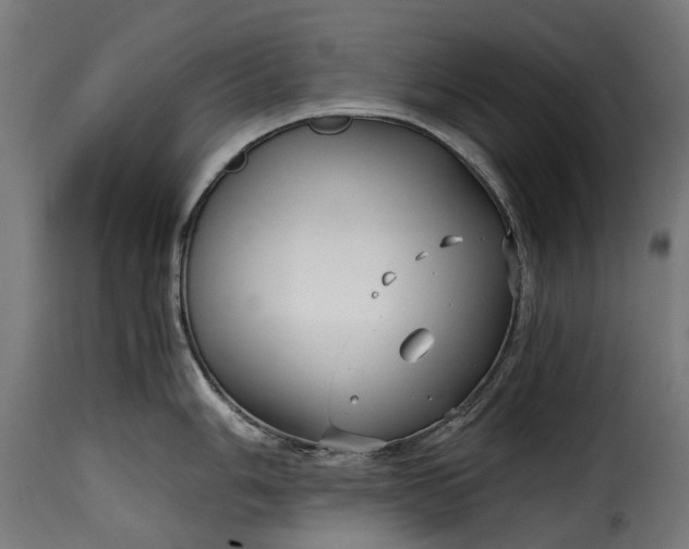 X0000115641006200911241706