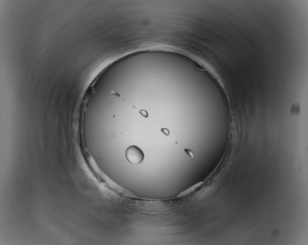 X0000115641007200911241706