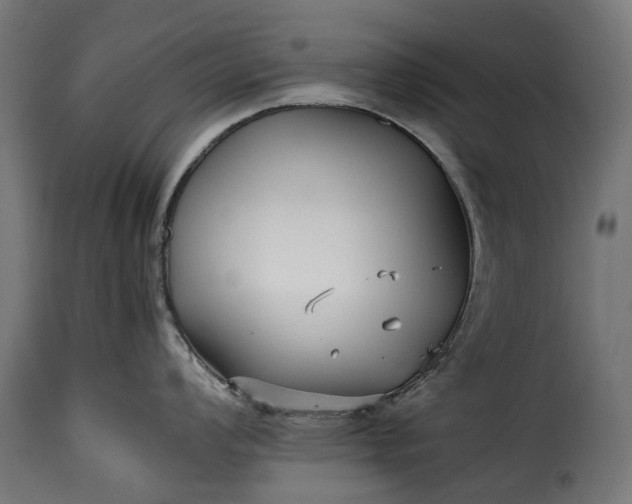 X0000115641008200911241706