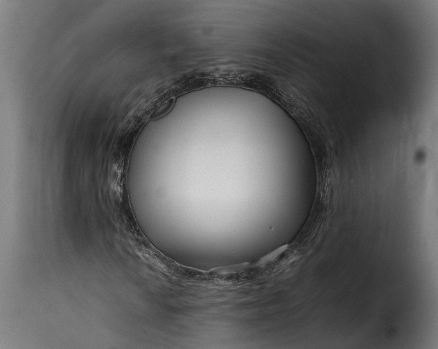 X0000115641010200911241705