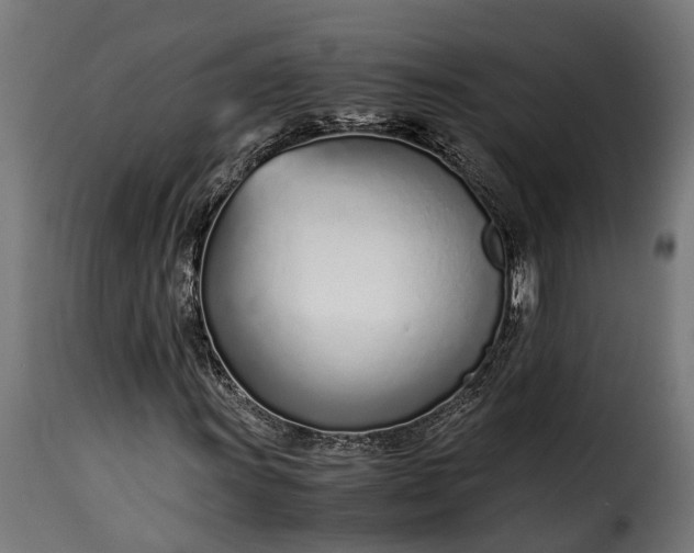 X0000115641011200911241705