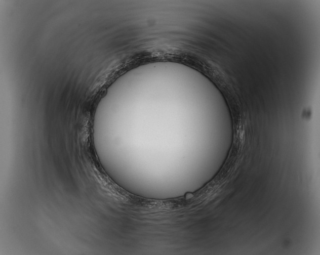 X0000115641012200911241705