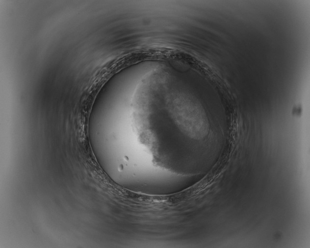 X0000115641013200911241705