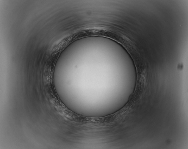 X0000115641014200911241705