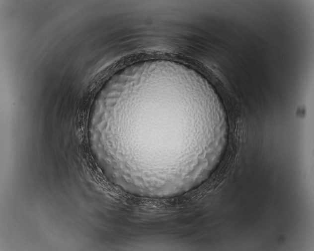 X0000115641015200911241705