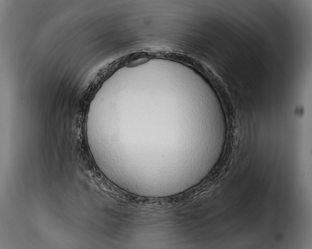 X0000115641016200911241705