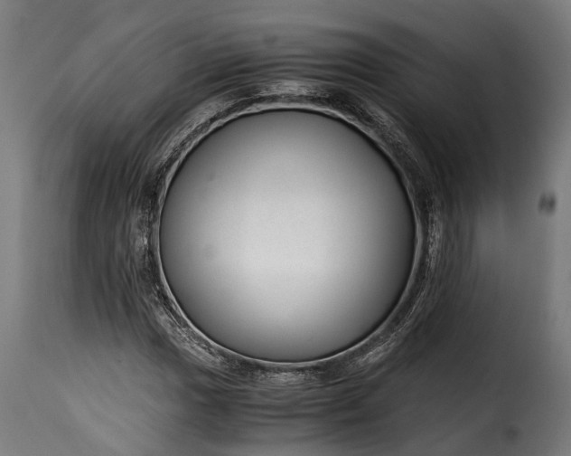 X0000115641017200911241705