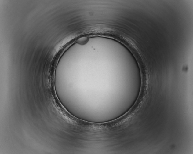 X0000115641018200911241705