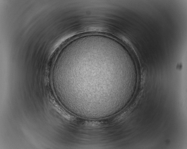 X0000115641019200911241705