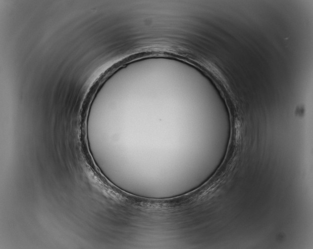 X0000115641020200911241706