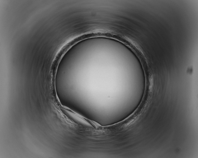 X0000115641021200911241706