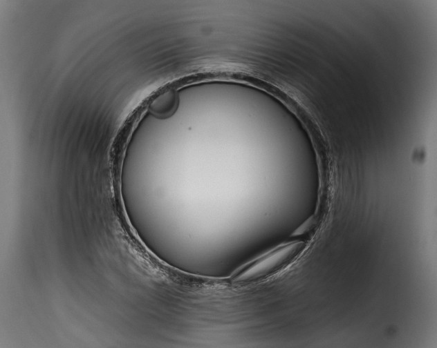 X0000115641022200911241706