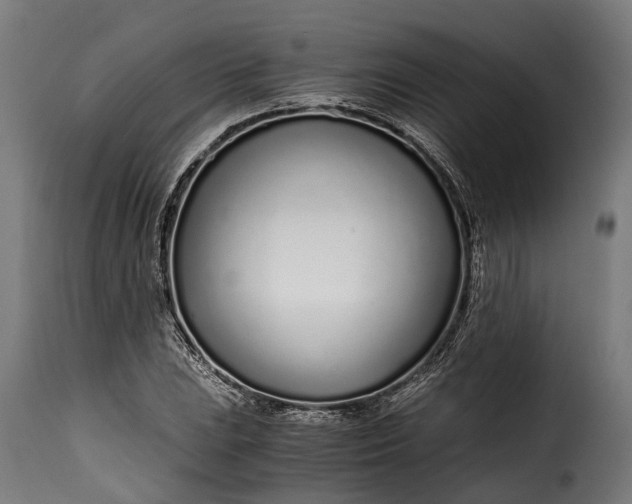 X0000115641023200911241706