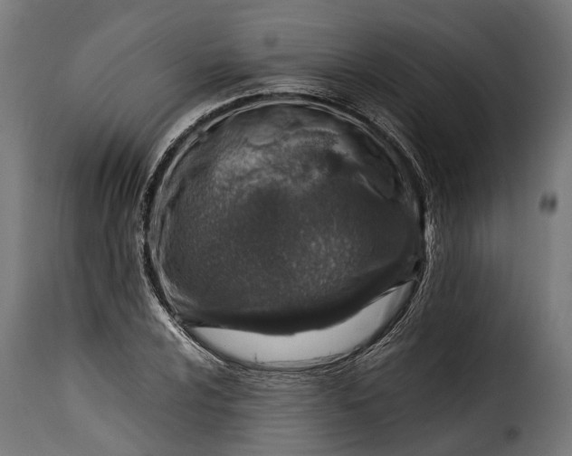 X0000115641024200911241706