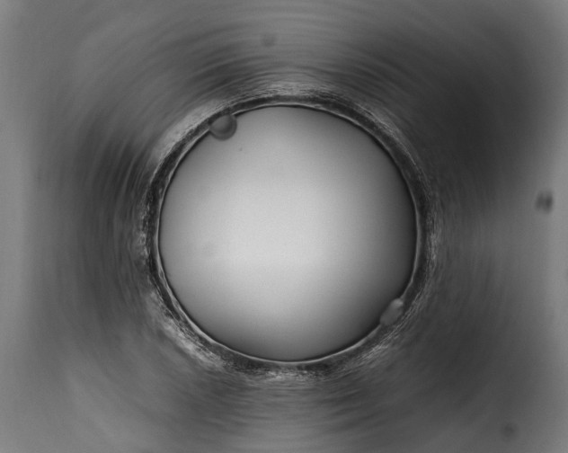 X0000115641026200911241706