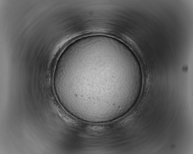 X0000115641027200911241706