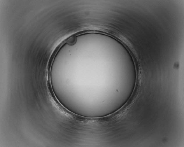 X0000115641028200911241706