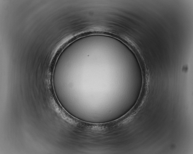 X0000115641029200911241706