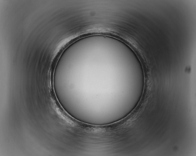 X0000115641030200911241706