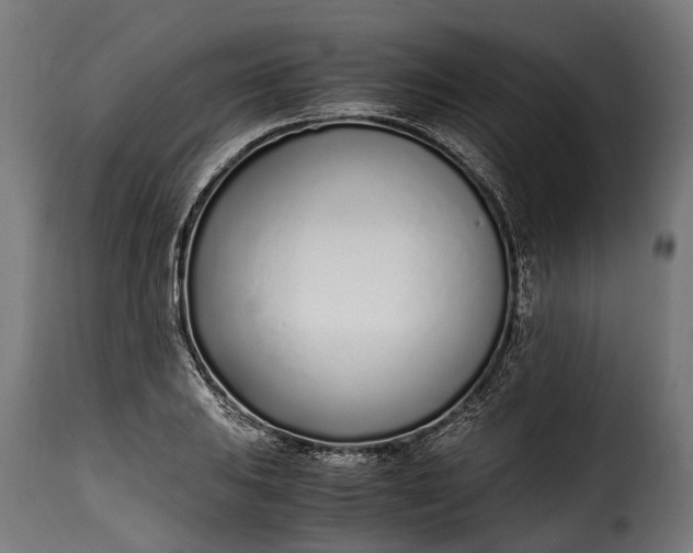 X0000115641031200911241706