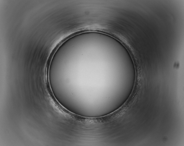 X0000115641032200911241706