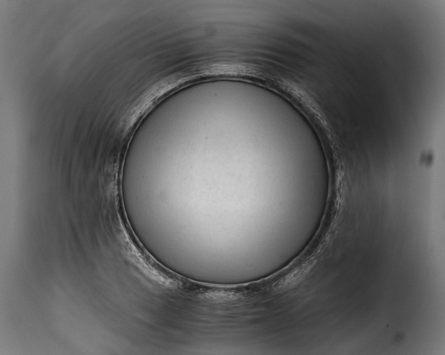 X0000115641033200911241706