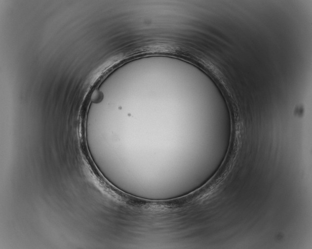 X0000115641034200911241706