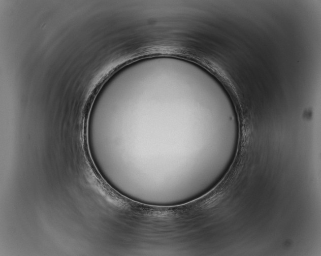 X0000115641035200911241706