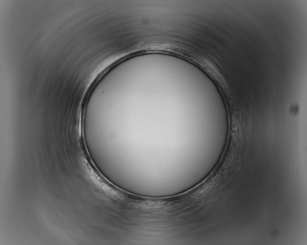 X0000115641036200911241706