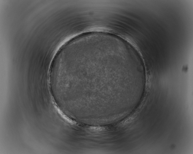 X0000115641037200911241706