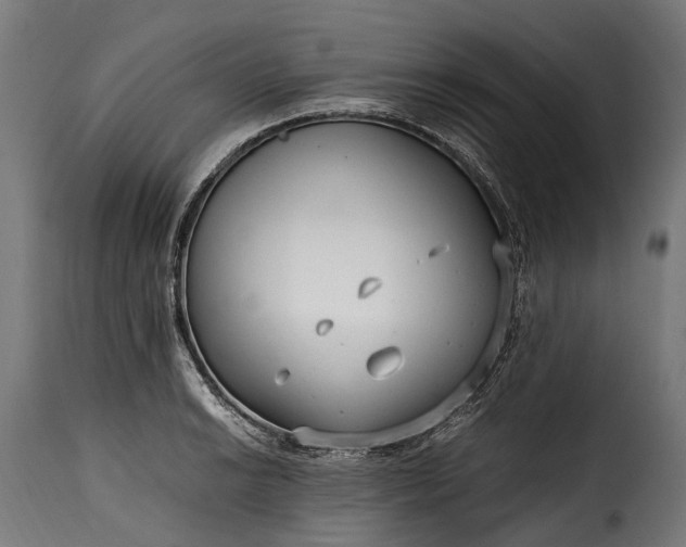 X0000115641038200911241706