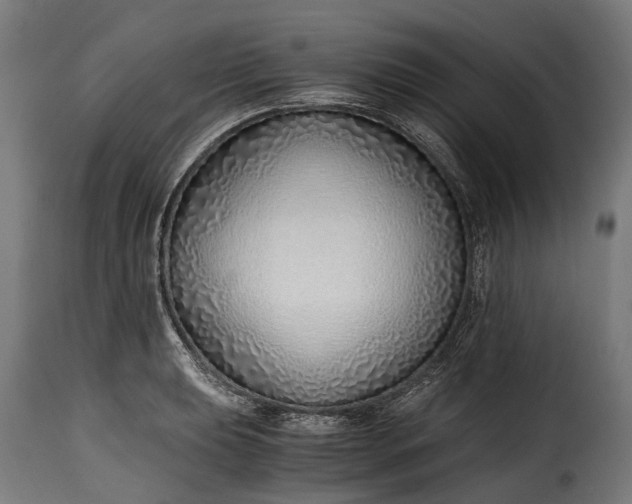 X0000115641039200911241706