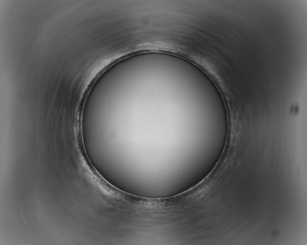 X0000115641040200911241706