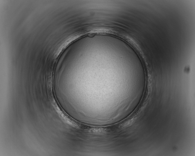 X0000115641041200911241706