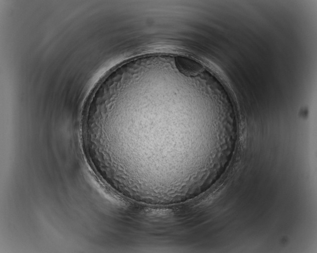 X0000115641043200911241706