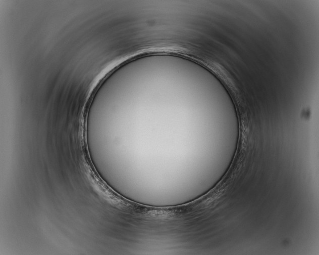 X0000115641044200911241706