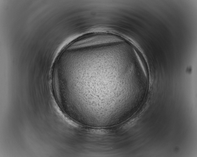 X0000115641045200911241706