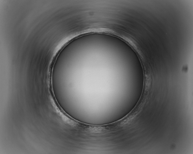 X0000115641046200911241706