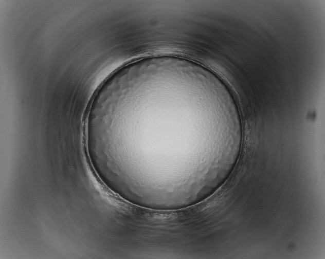 X0000115641047200911241706